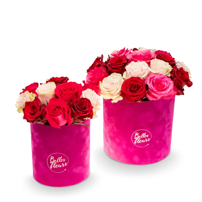 Flower of box